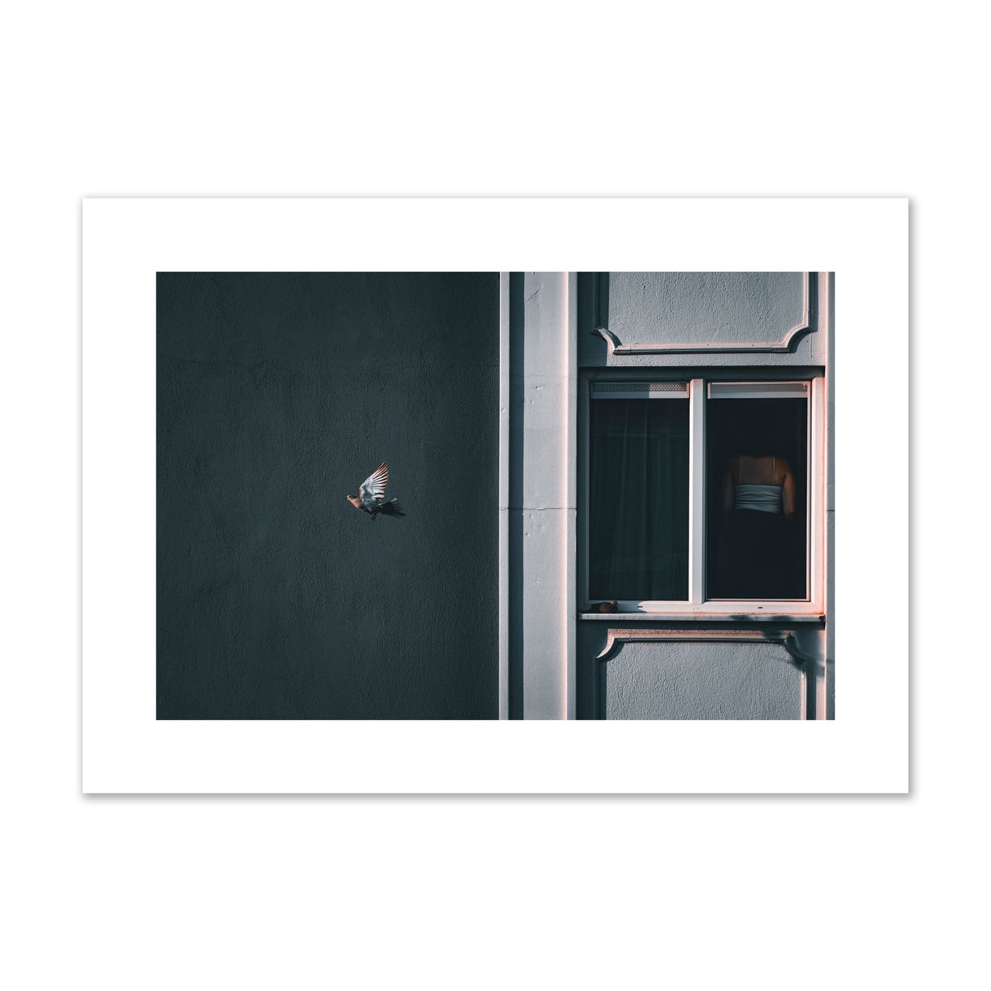 Fine art street photograph of a woman highlighted in a window on the right side of the frame, while a bird flies out of frame on the left. Archival pigment print, large size, unframed.