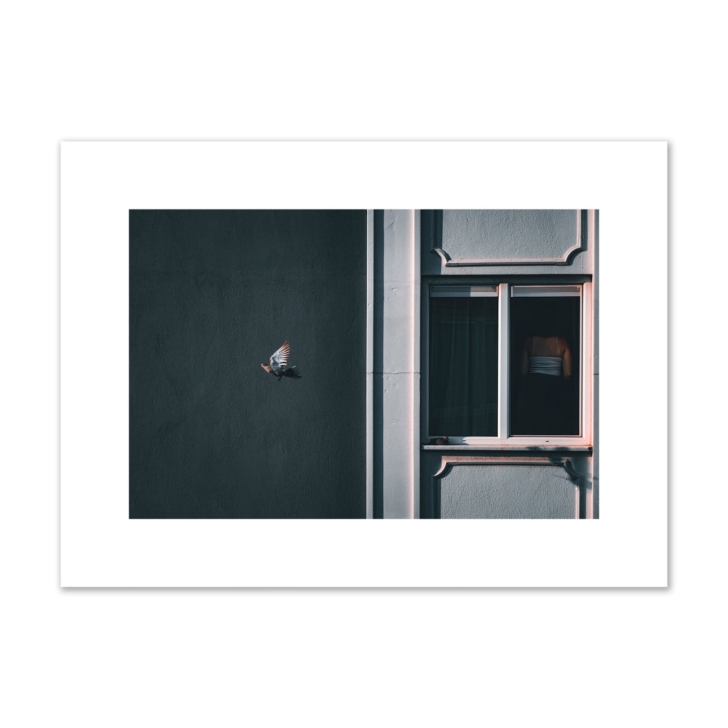 Fine art street photograph of a woman highlighted in a window on the right side of the frame, while a bird flies out of frame on the left. Archival pigment print, medium size, unframed.
