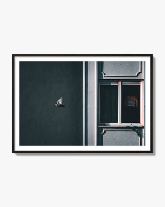 Fine art street photograph of a woman highlighted in a window on the right side of the frame, while a bird flies out of frame on the left. Archival pigment print, black frame.