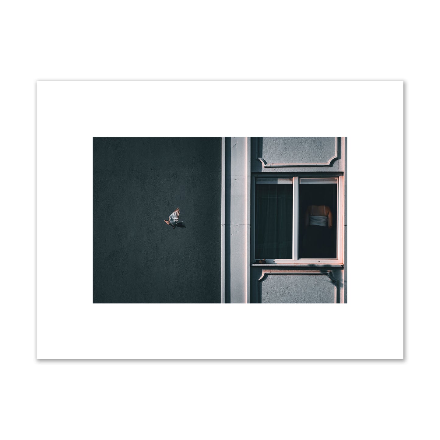 Fine art street photograph of a woman highlighted in a window on the right side of the frame, while a bird flies out of frame on the left. Archival pigment print, small size, unframed.