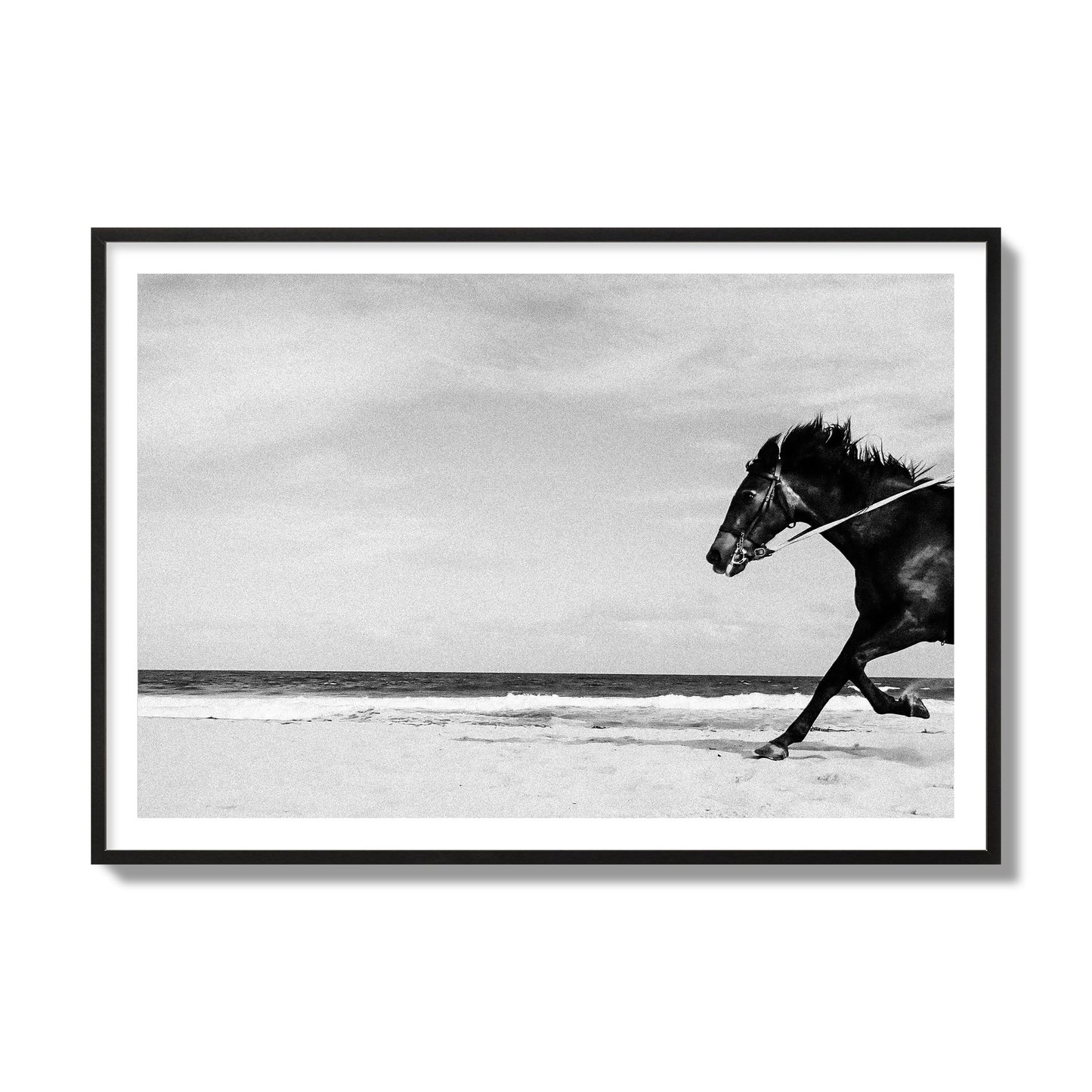 Fine art street photograph of a horse running on the beach. Archival pigment print, collector size, black frame.