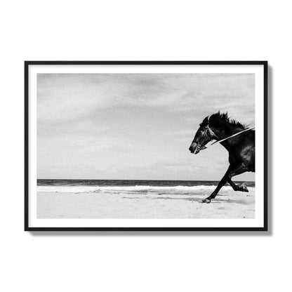 Fine art street photograph of a horse running on the beach. Archival pigment print, collector size, black frame.