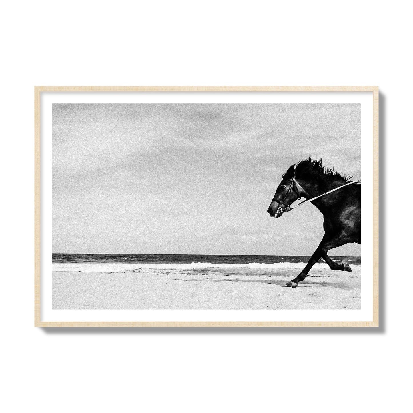 Fine art street photograph of a horse running on the beach. Archival pigment print, collector size, natural wood frame.