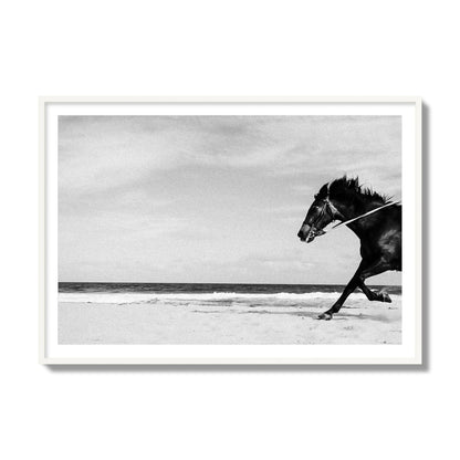 Fine art street photograph of a horse running on the beach. Archival pigment print, collector size, white frame.