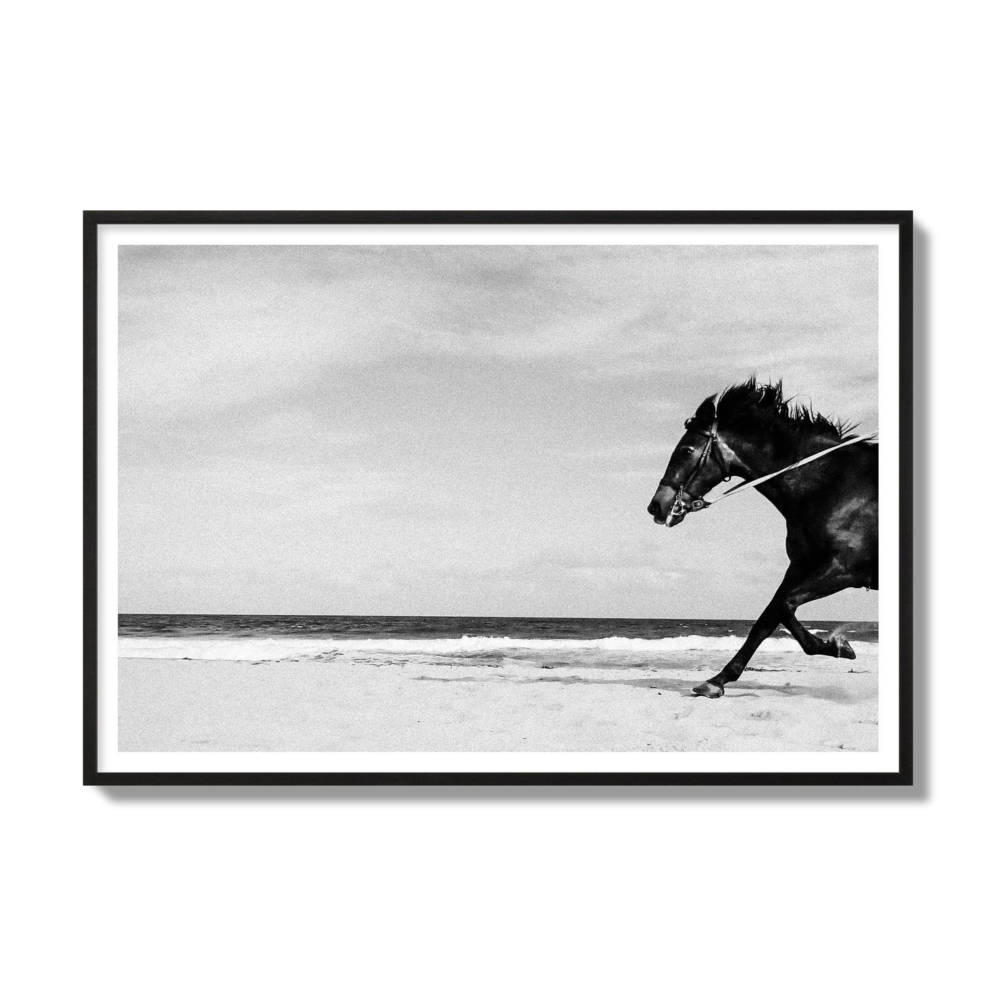Fine art street photograph of a horse running on the beach. Archival pigment print, gallery size, black frame.