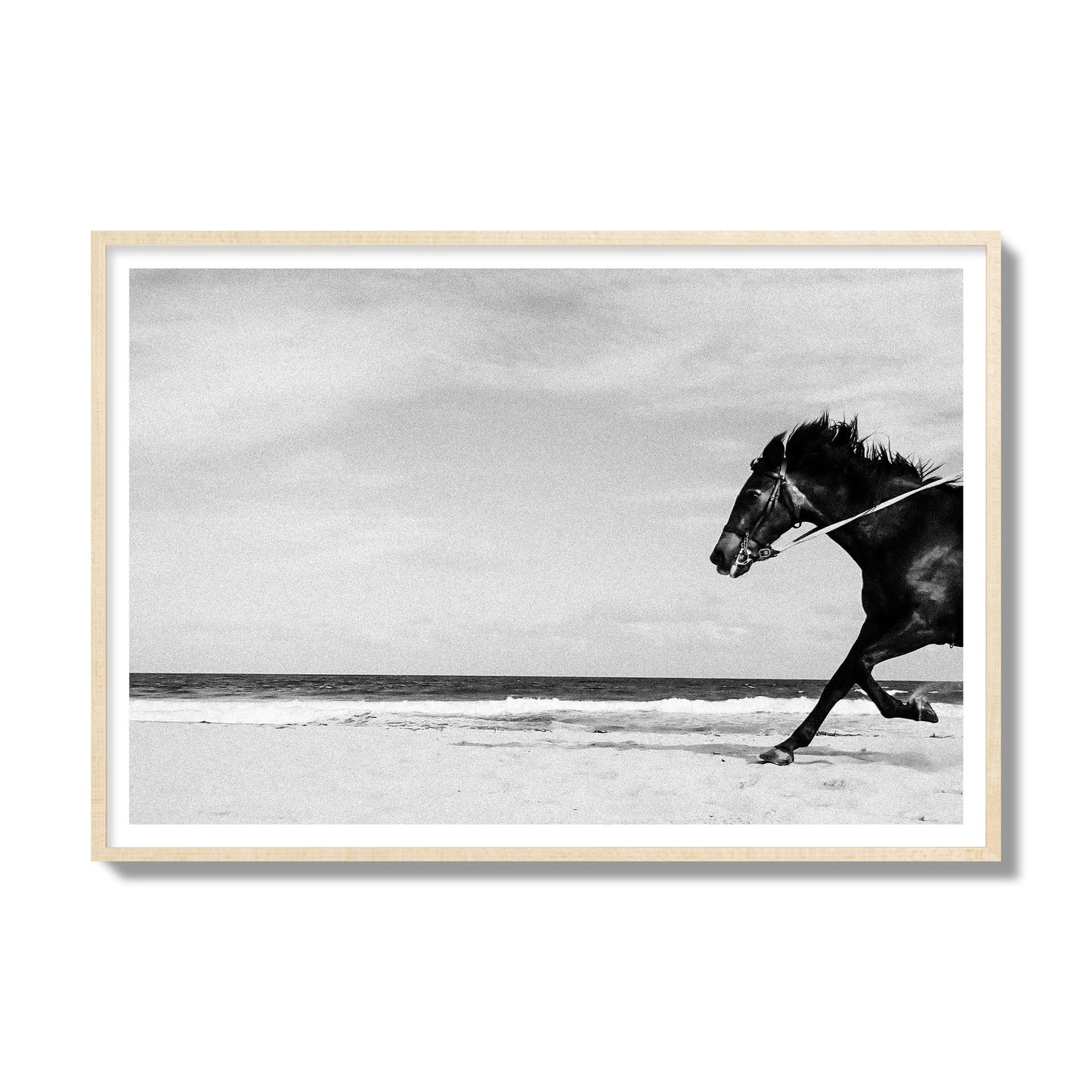 Fine art street photograph of a horse running on the beach. Archival pigment print, gallery size, natural wood frame.