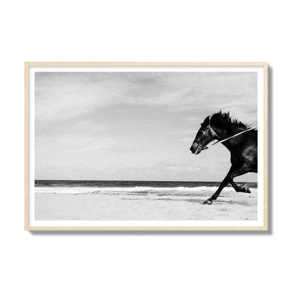 Fine art street photograph of a horse running on the beach. Archival pigment print, gallery size, natural wood frame.
