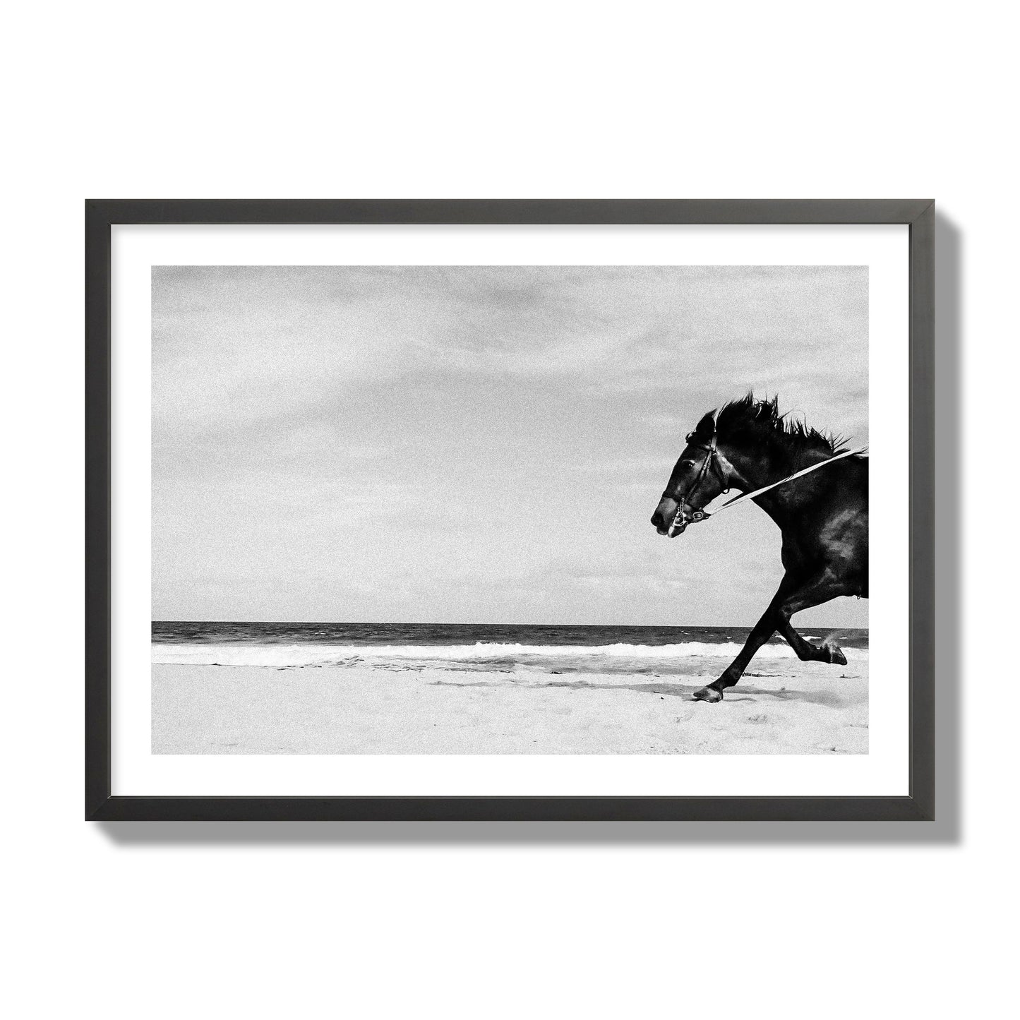 Fine art street photograph of a horse running on the beach. Archival pigment print, giant size, black frame.