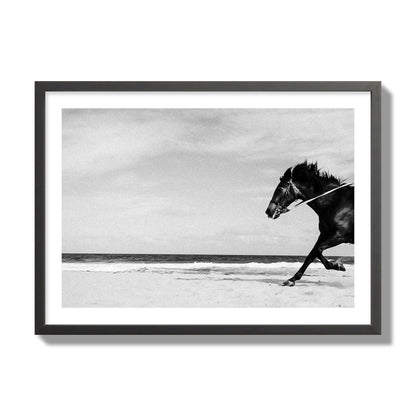 Fine art street photograph of a horse running on the beach. Archival pigment print, giant size, black frame.