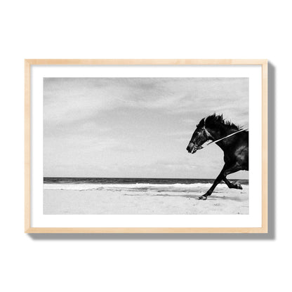 Fine art street photograph of a horse running on the beach. Archival pigment print, giant size, natural wood frame.