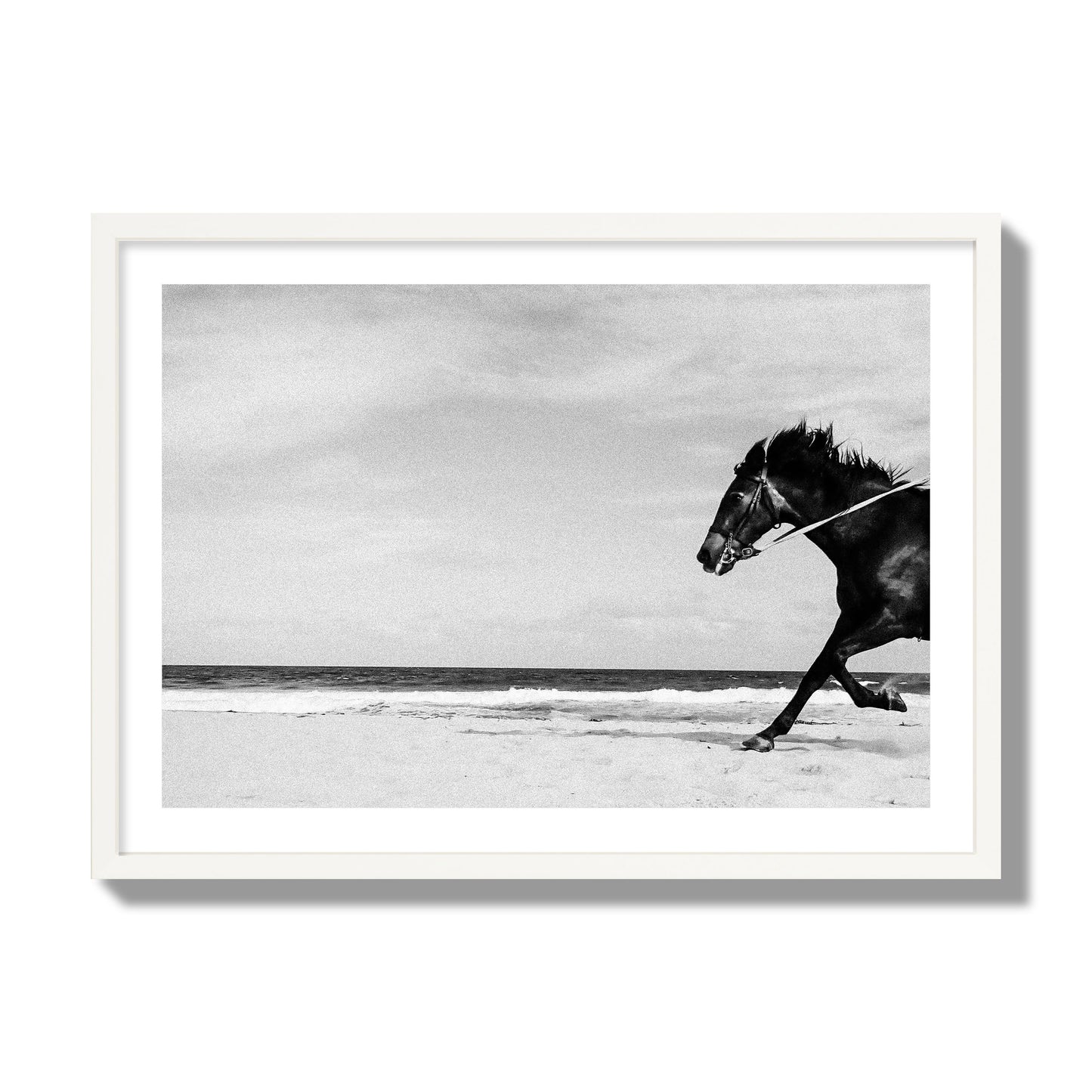 Fine art street photograph of a horse running on the beach. Archival pigment print, giant size, white frame.