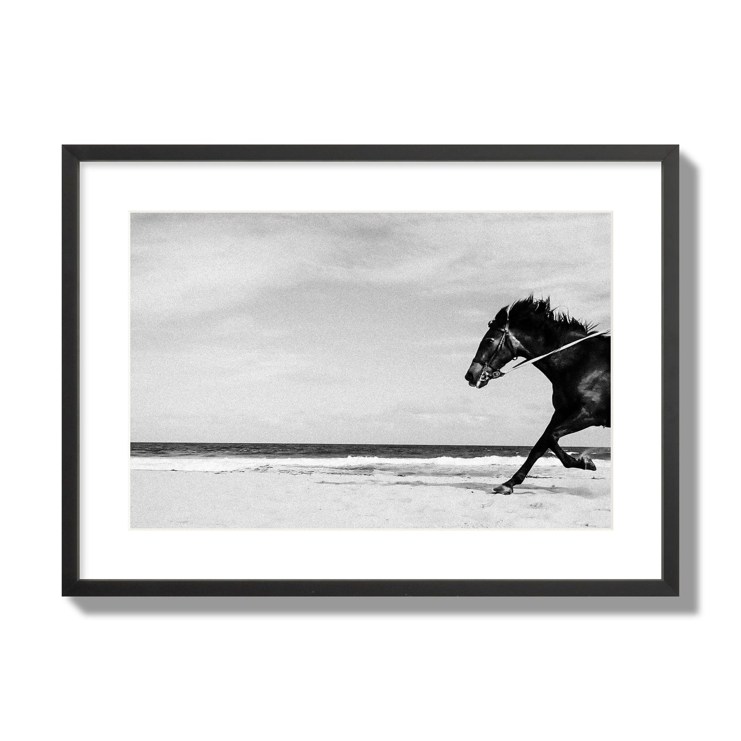 Fine art street photograph of a horse running on the beach. Archival pigment print, large size, black frame.