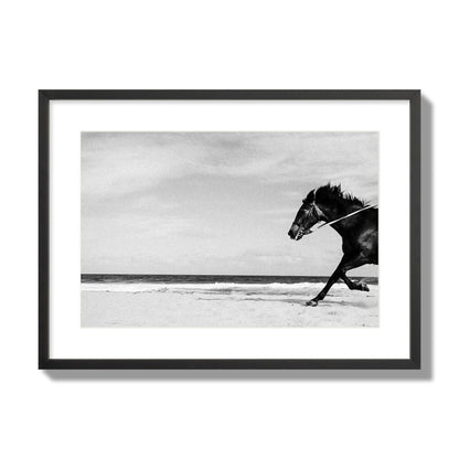 Fine art street photograph of a horse running on the beach. Archival pigment print, large size, black frame.