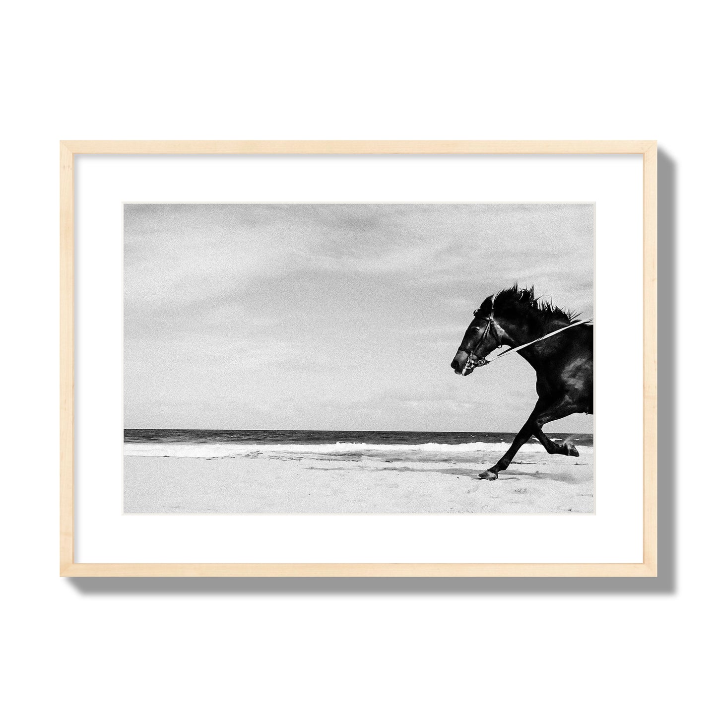 Fine art street photograph of a horse running on the beach. Archival pigment print, large size, natural wood frame.