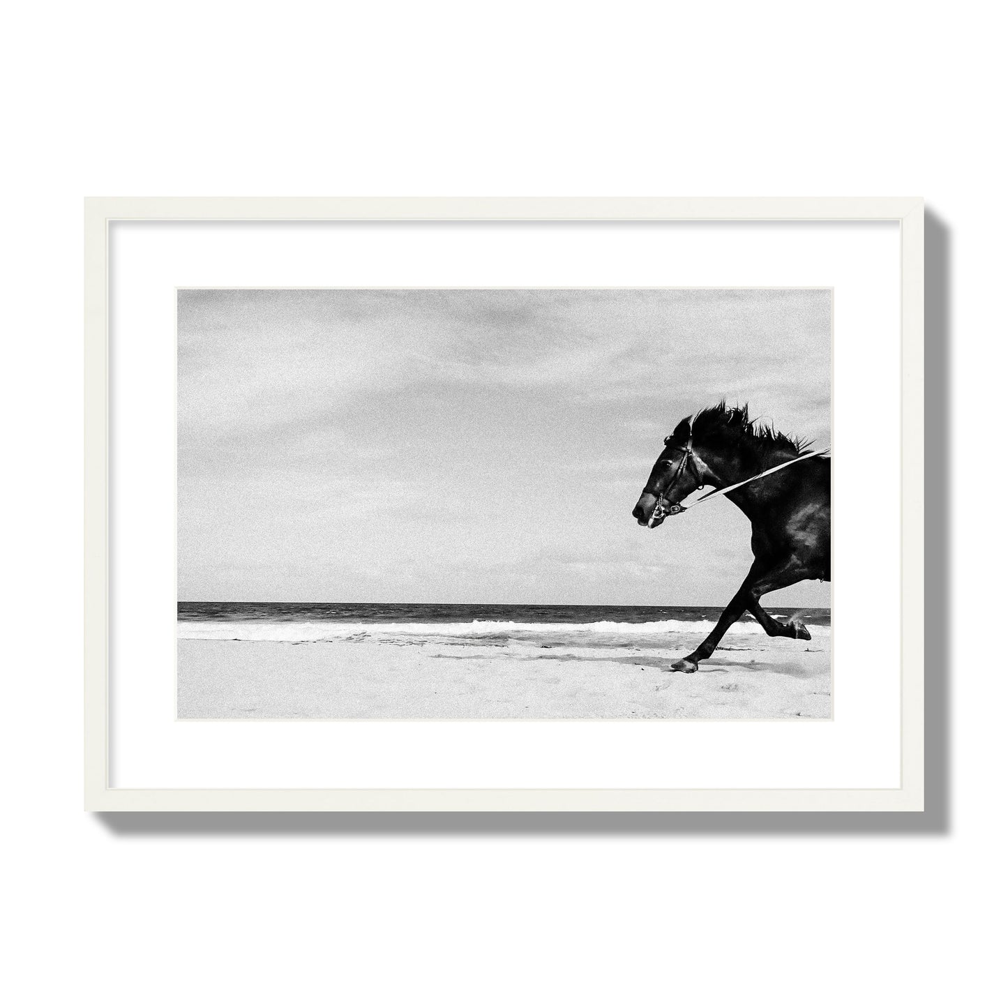 Fine art street photograph of a horse running on the beach. Archival pigment print, large size, white frame.