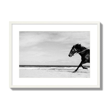 Fine art street photograph of a horse running on the beach. Archival pigment print, large size, white frame.