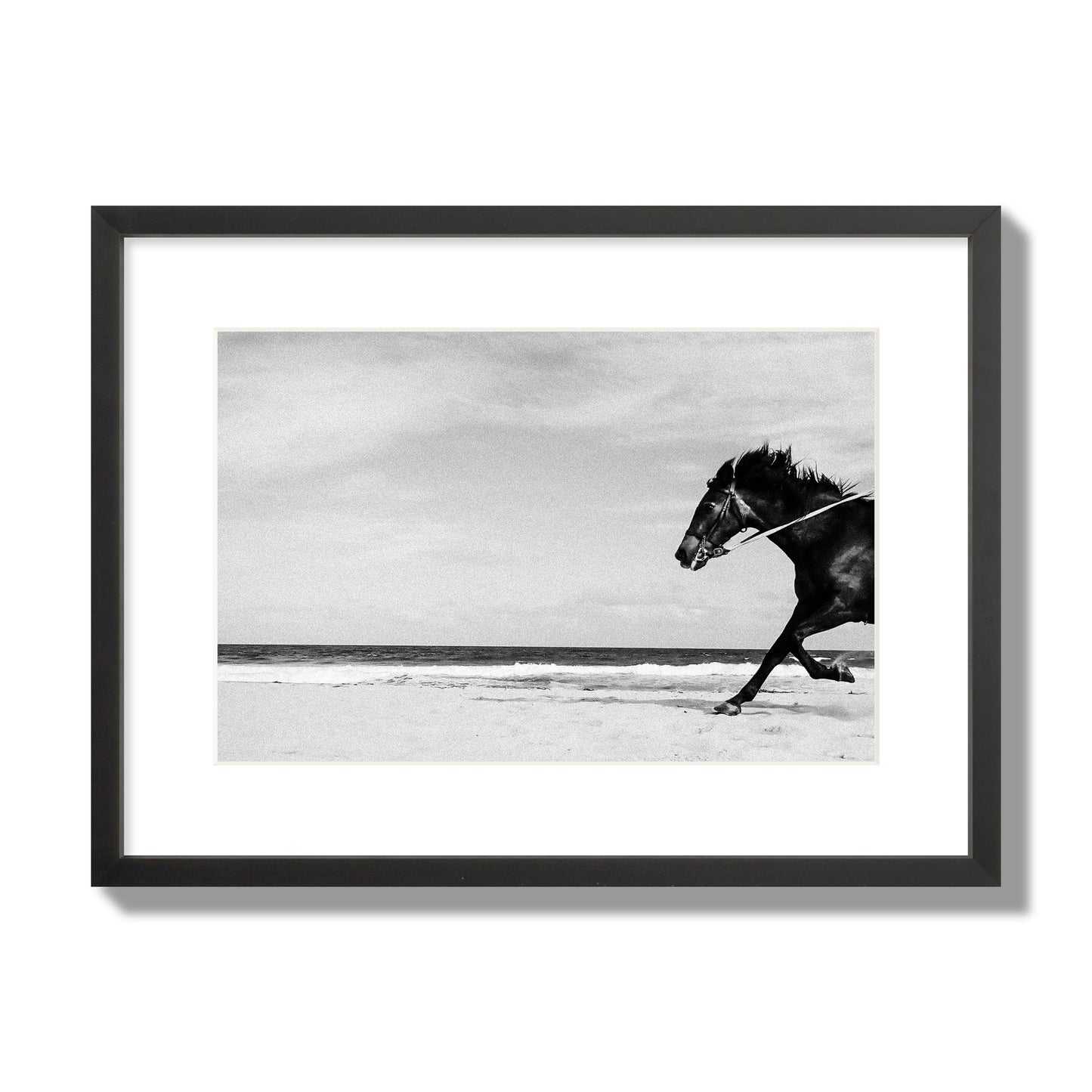 Fine art street photograph of a horse running on the beach. Archival pigment print, medium size, black frame.