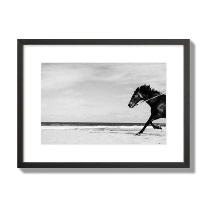 Fine art street photograph of a horse running on the beach. Archival pigment print, medium size, black frame.