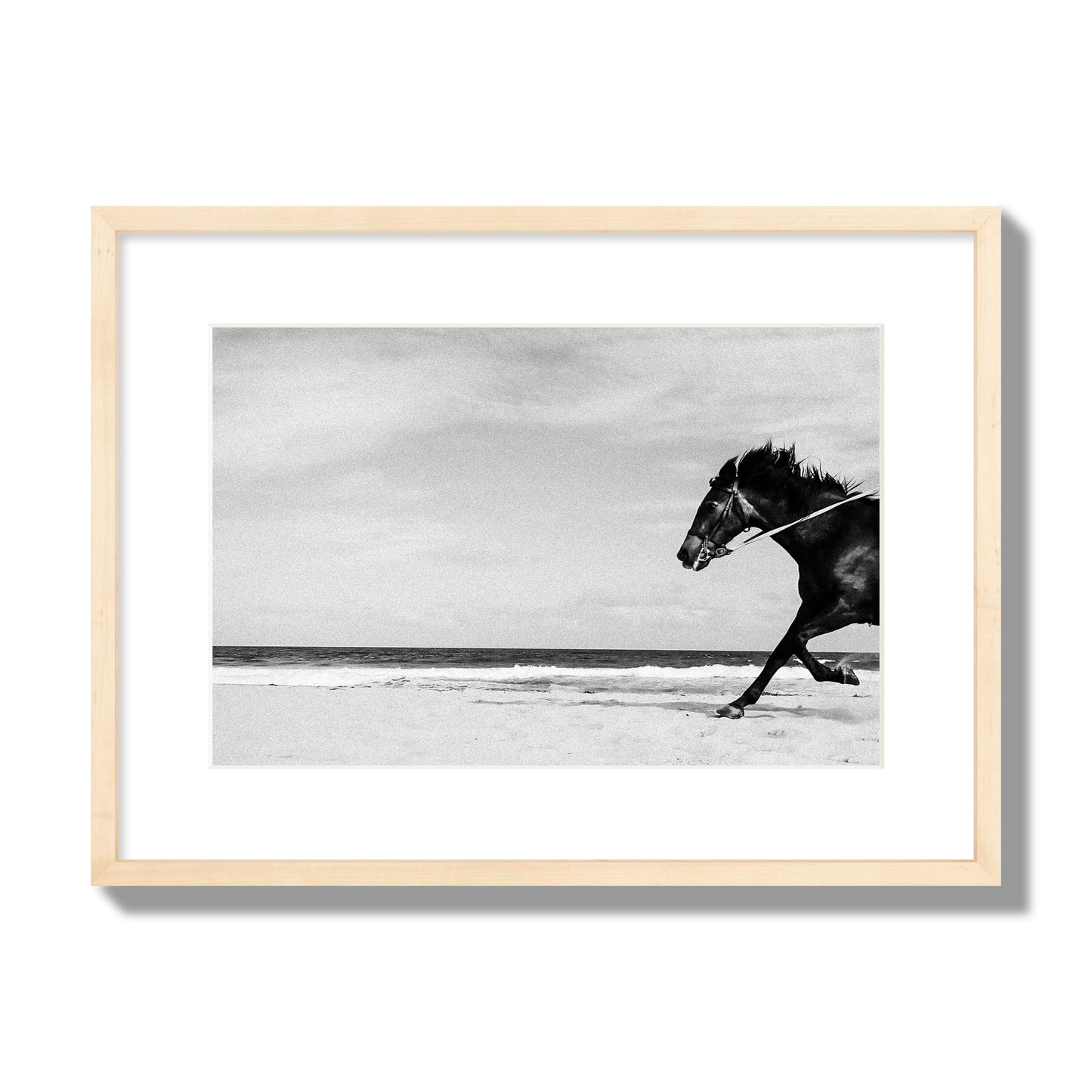 Fine art street photograph of a horse running on the beach. Archival pigment print, medium size, natural wood frame.