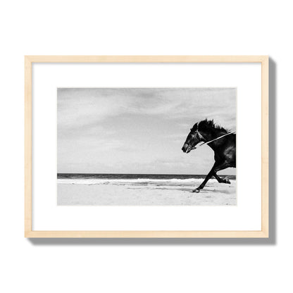 Fine art street photograph of a horse running on the beach. Archival pigment print, medium size, natural wood frame.