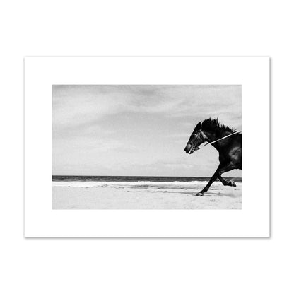 Fine art street photograph of a horse running on the beach. Archival pigment print, medium size, print.