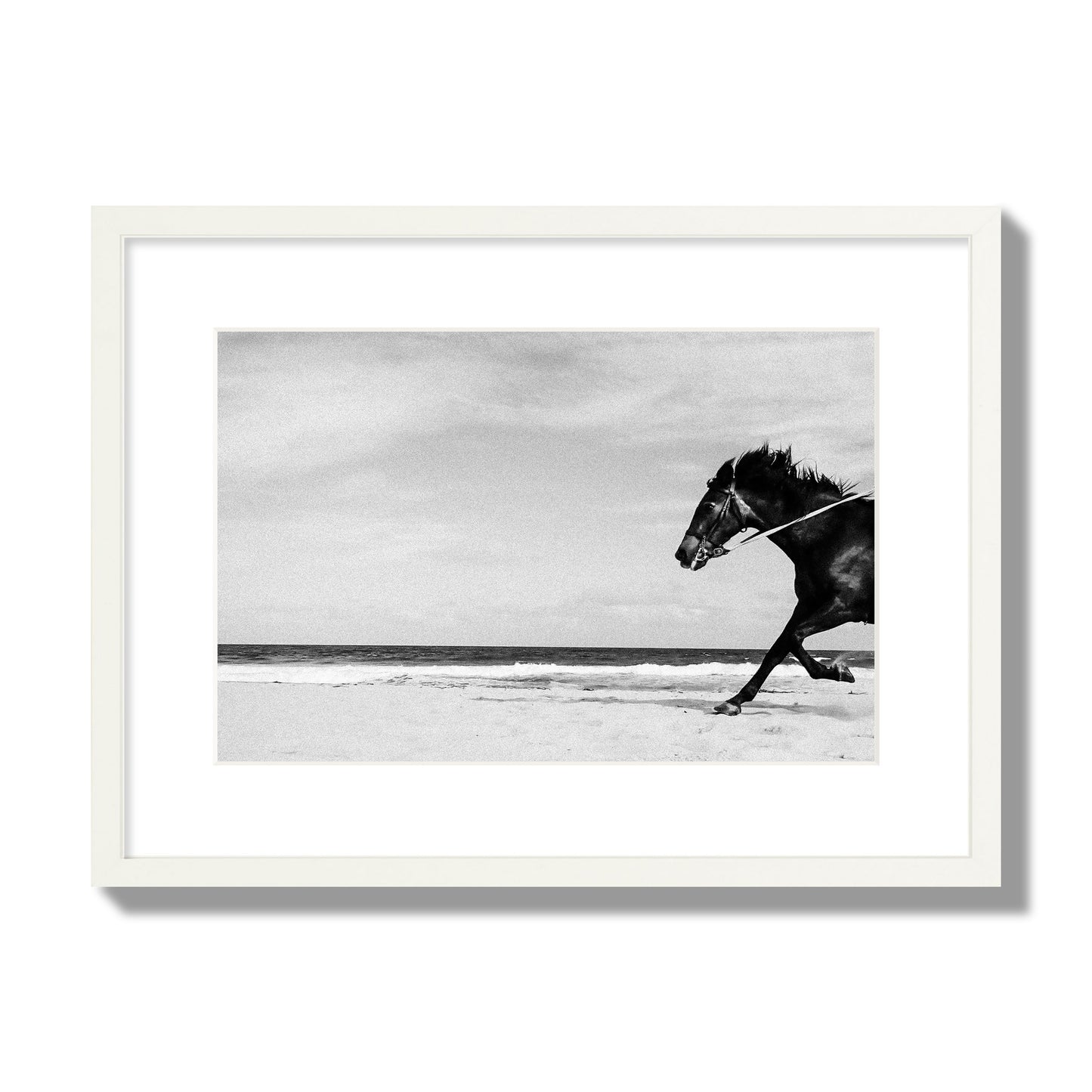 Fine art street photograph of a horse running on the beach. Archival pigment print, medium size, white frame.