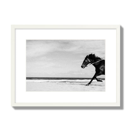 Fine art street photograph of a horse running on the beach. Archival pigment print, medium size, white frame.