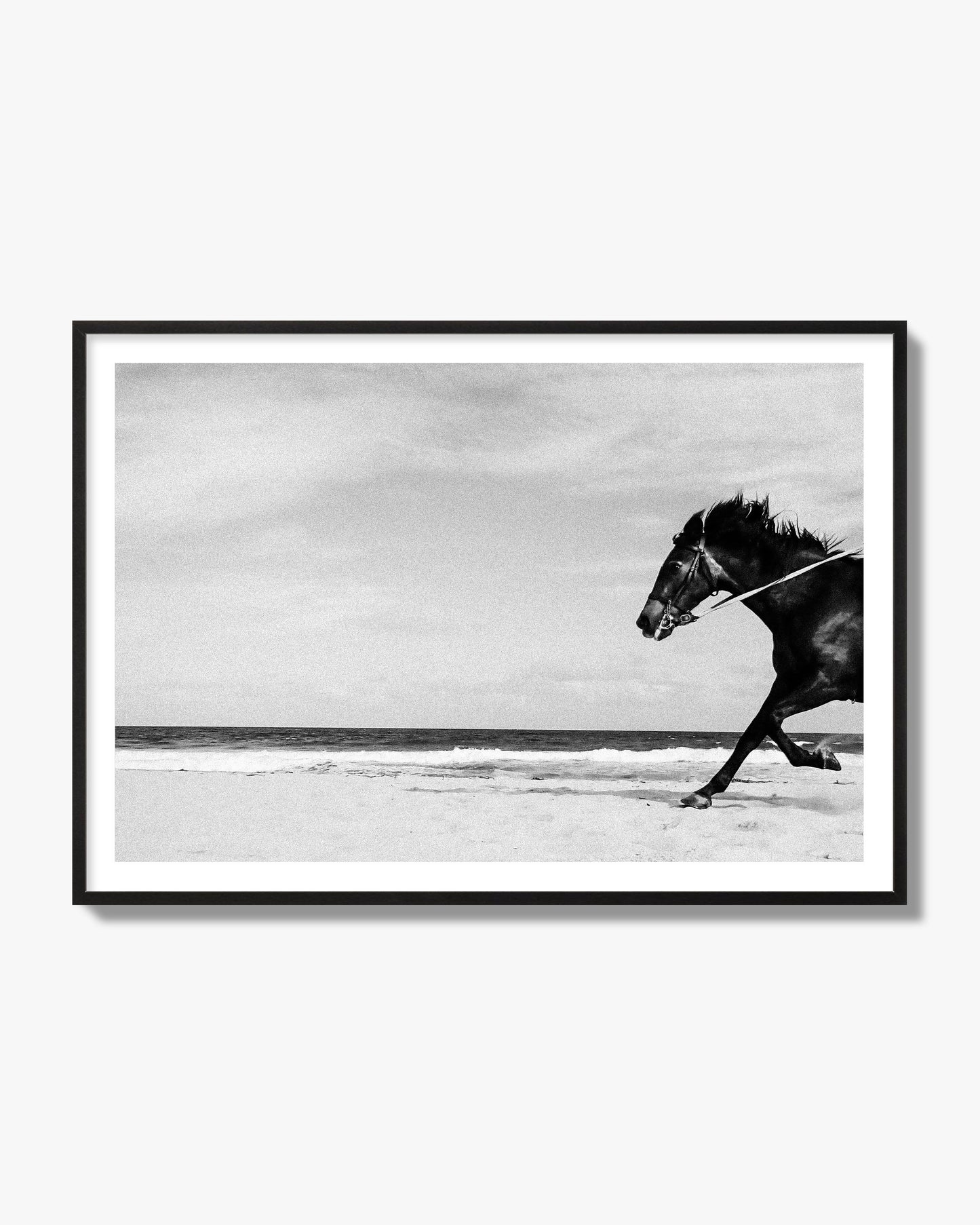 Fine art street photograph of a horse running on the beach. Archival pigment print, black frame.