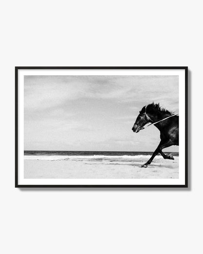 Fine art street photograph of a horse running on the beach. Archival pigment print, black frame.