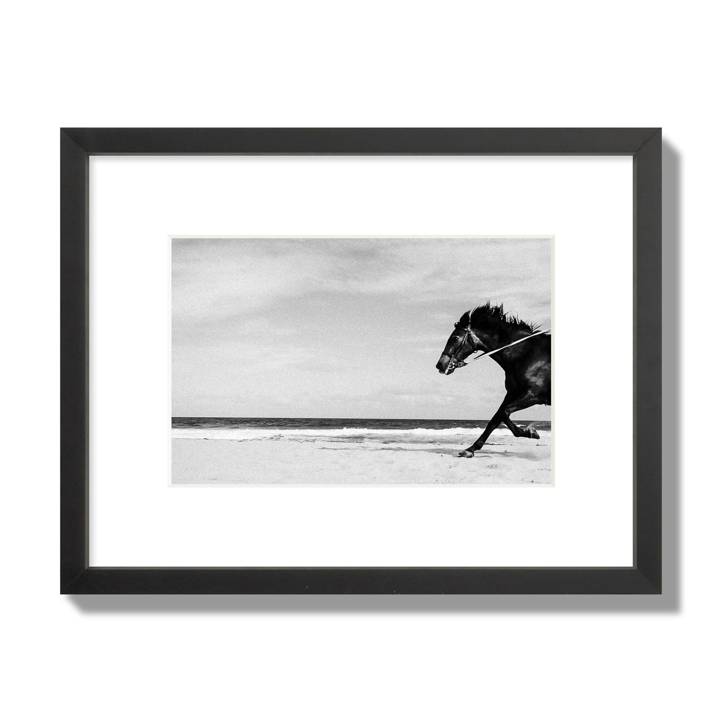 Fine art street photograph of a horse running on the beach. Archival pigment print, small size, black frame.