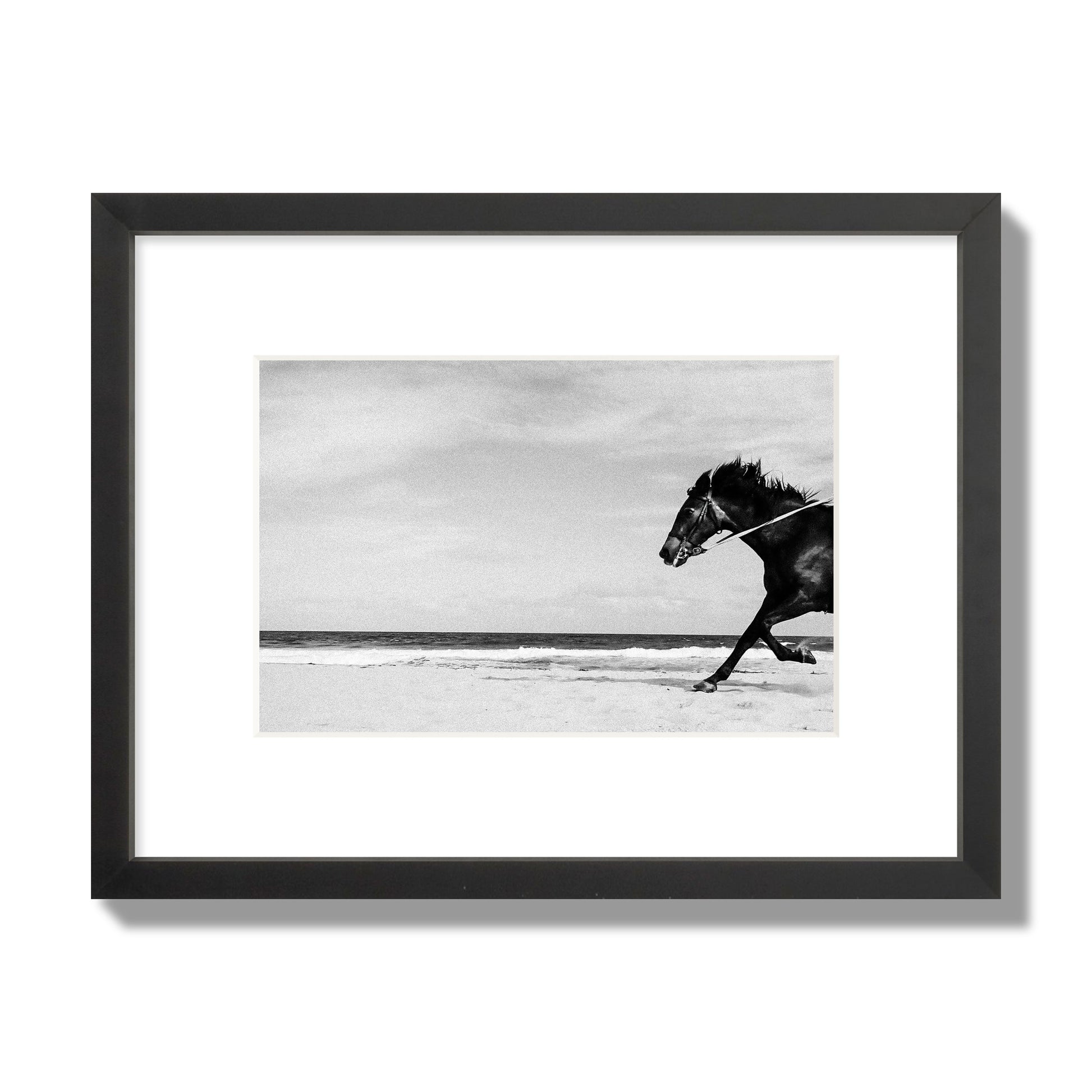 Fine art street photograph of a horse running on the beach. Archival pigment print, small size, black frame.