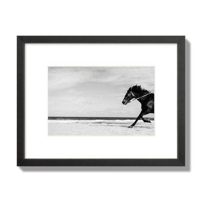 Fine art street photograph of a horse running on the beach. Archival pigment print, small size, black frame.
