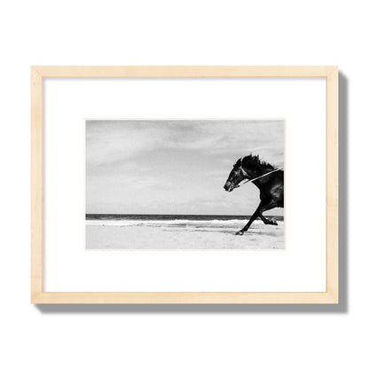 Fine art street photograph of a horse running on the beach. Archival pigment print, small size, natural wood frame.