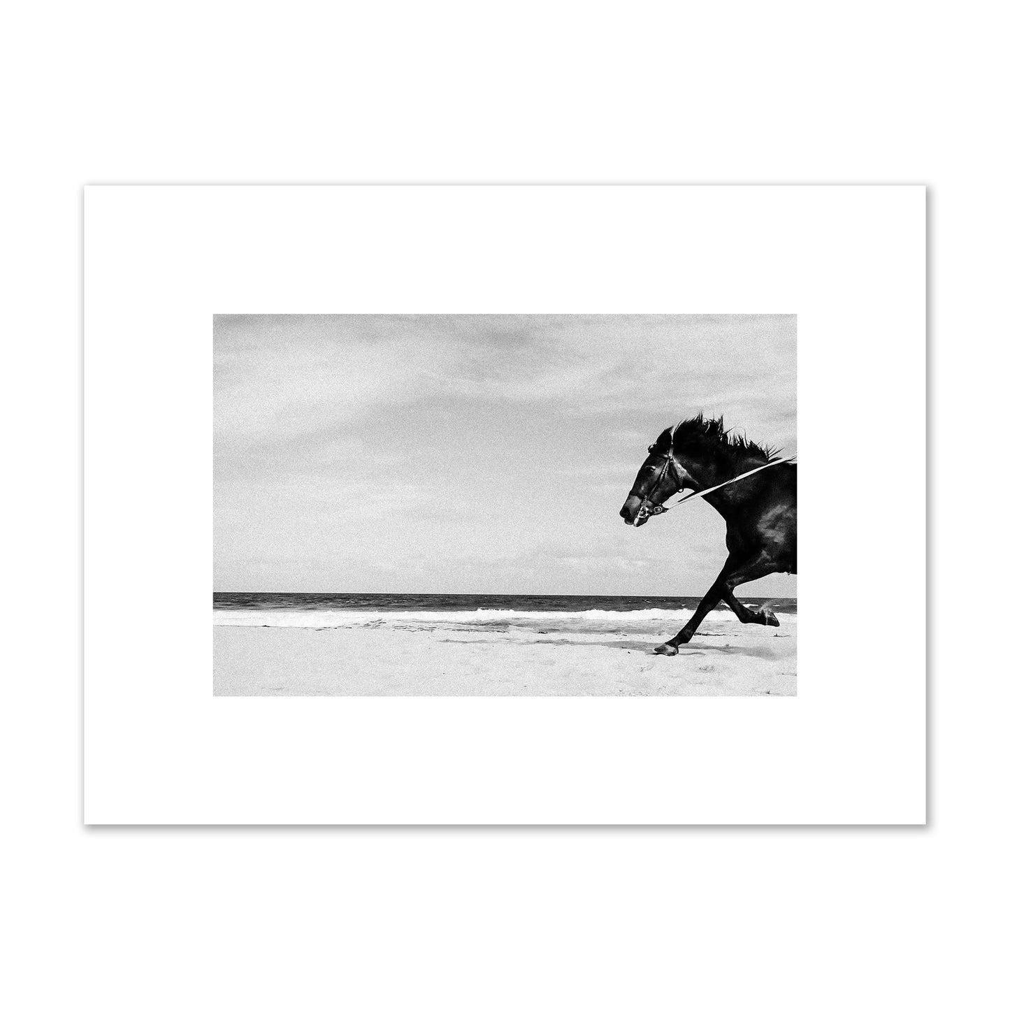 Fine art street photograph of a horse running on the beach. Archival pigment print, small size, print.