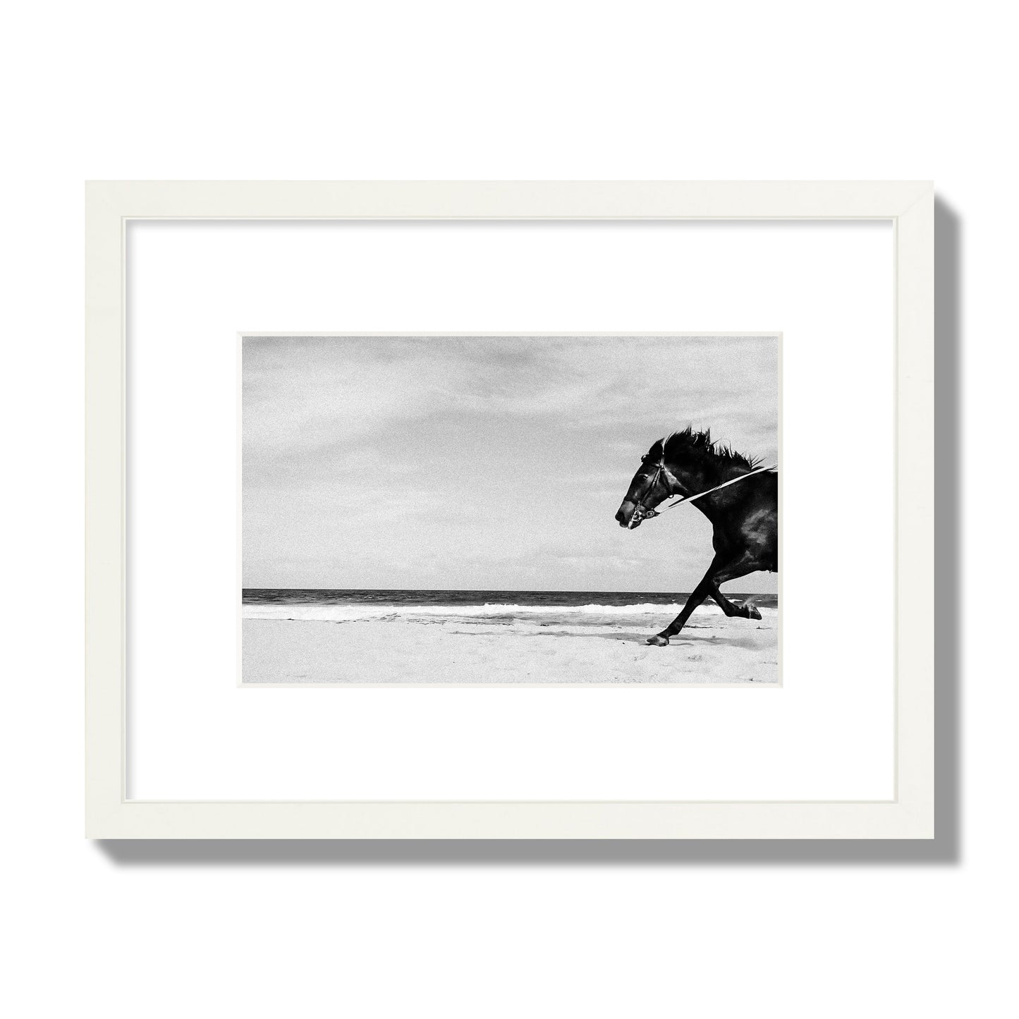 Fine art street photograph of a horse running on the beach. Archival pigment print, small size, white frame.