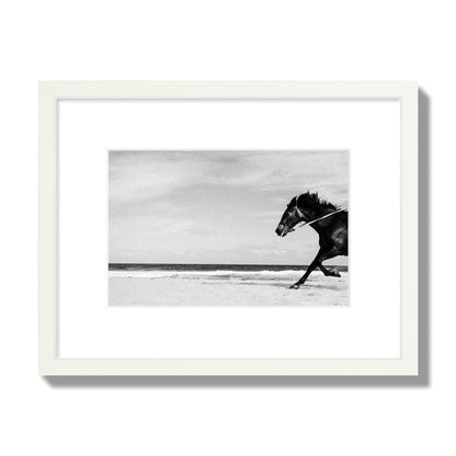 Fine art street photograph of a horse running on the beach. Archival pigment print, small size, white frame.
