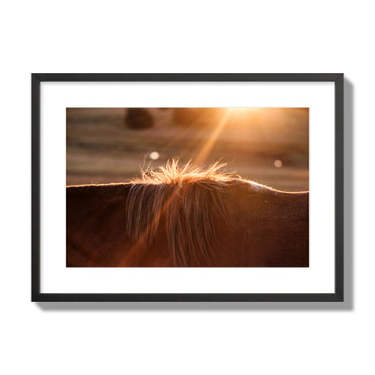 Fine art photo of a ray of light at sunset shining on a horse's mane. Archival pigment print, large size, black frame.