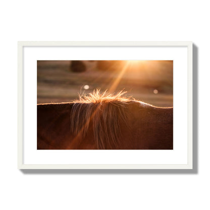 Fine art photo of a ray of light at sunset shining on a horse's mane. Archival pigment print, large size, white frame.
