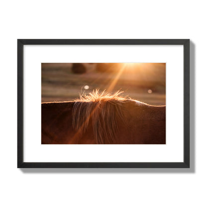 Fine art photo of a ray of light at sunset shining on a horse's mane. Archival pigment print, medium size, black frame.