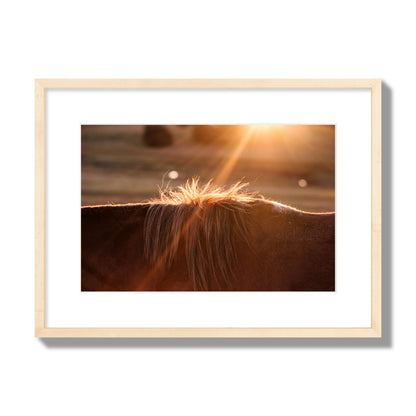 Fine art photo of a ray of light at sunset shining on a horse's mane. Archival pigment print, medium size, natural wood frame.