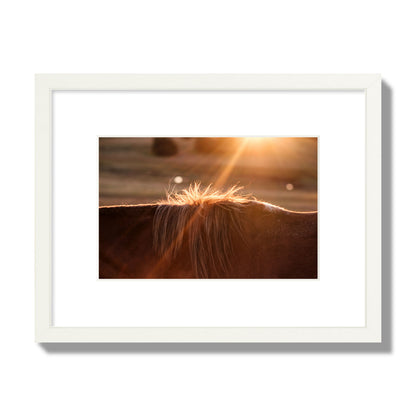 Fine art photo of a ray of light at sunset shining on a horse's mane. Archival pigment print, small size, white frame.