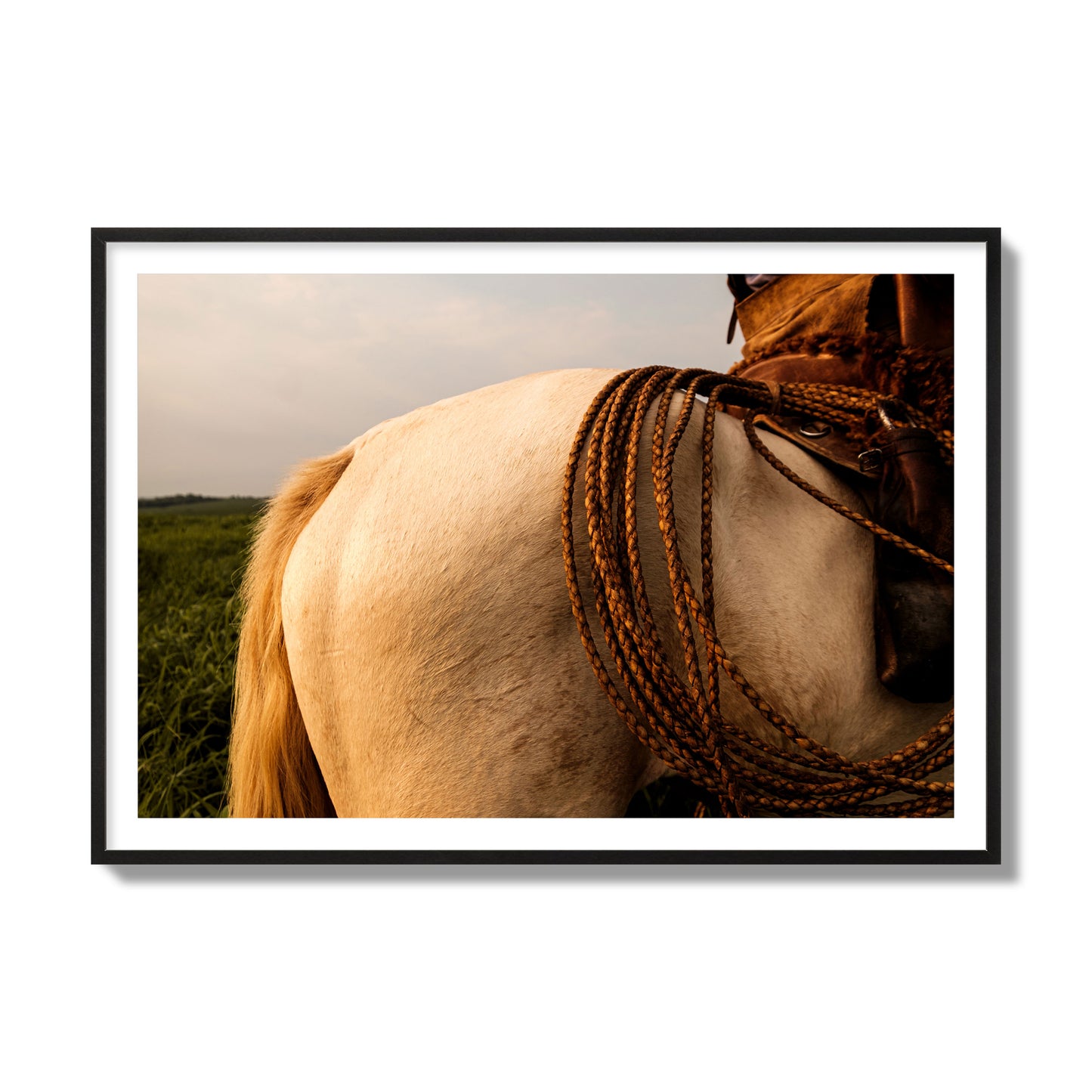 Fine art photo of a cowboy's lasso coiled across a horse's back. Archival pigment print, collector size, black frame.
