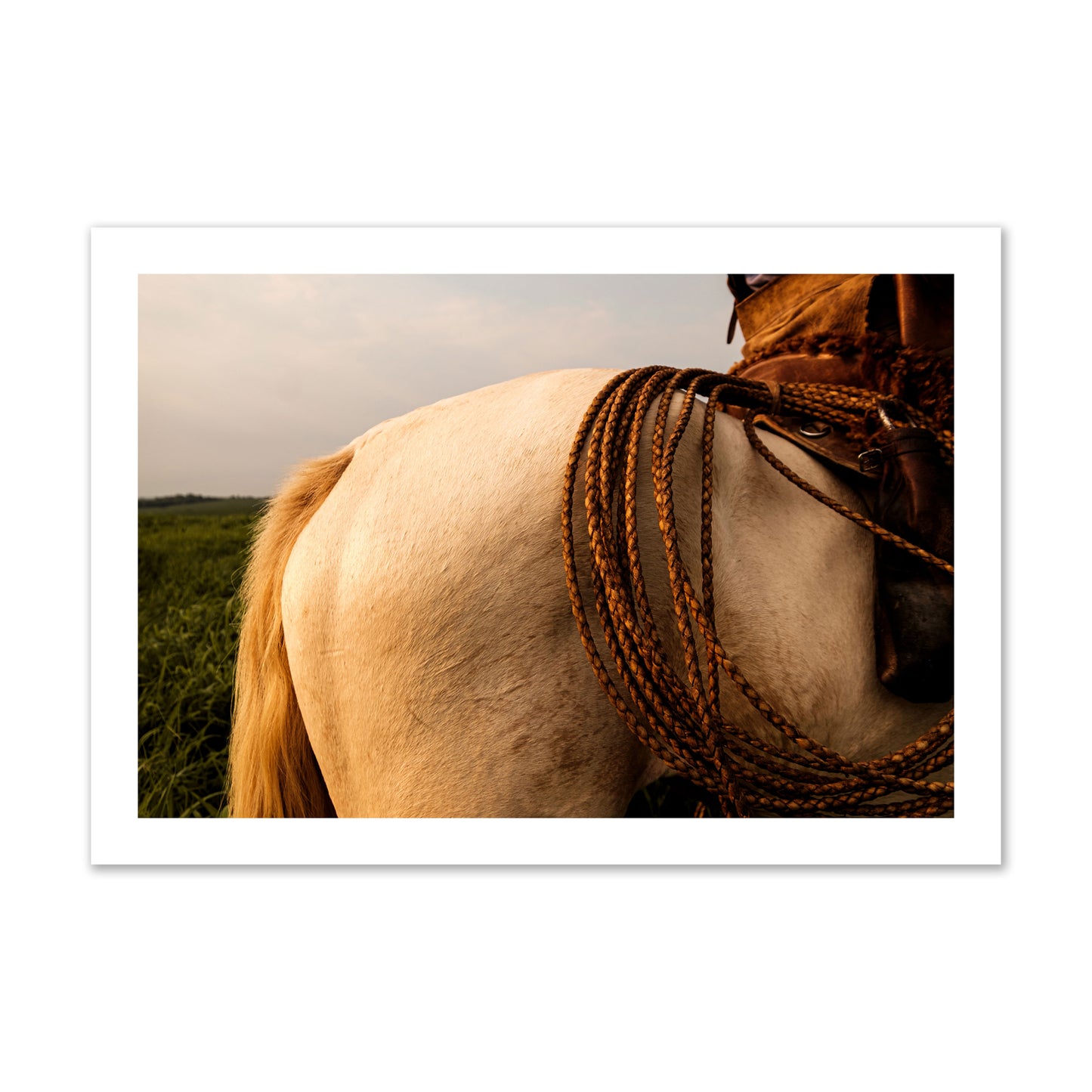 Fine art photo of a cowboy's lasso coiled across a horse's back. Archival pigment print, collector size, print.