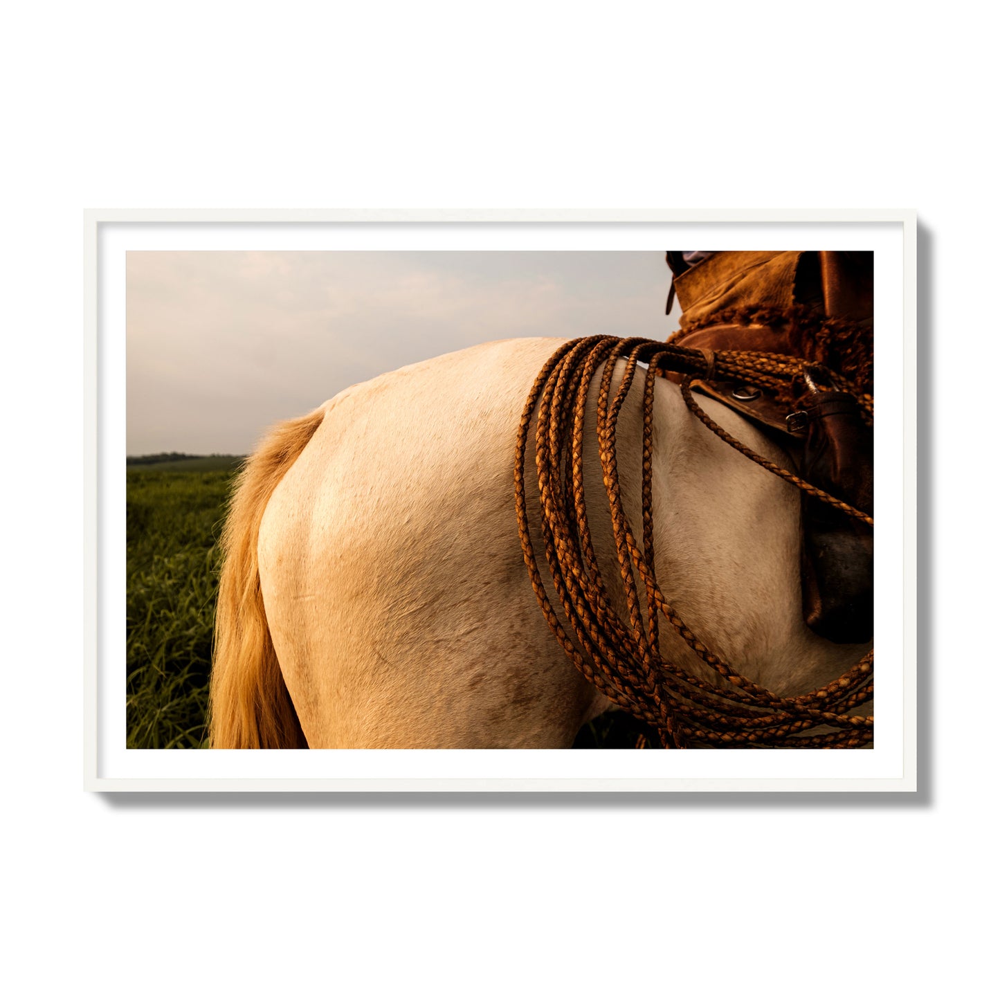 Fine art photo of a cowboy's lasso coiled across a horse's back. Archival pigment print, collector size, white frame.