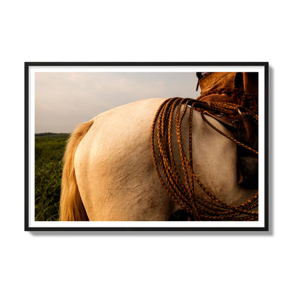 Fine art photo of a cowboy's lasso coiled across a horse's back. Archival pigment print, gallery size, black frame.