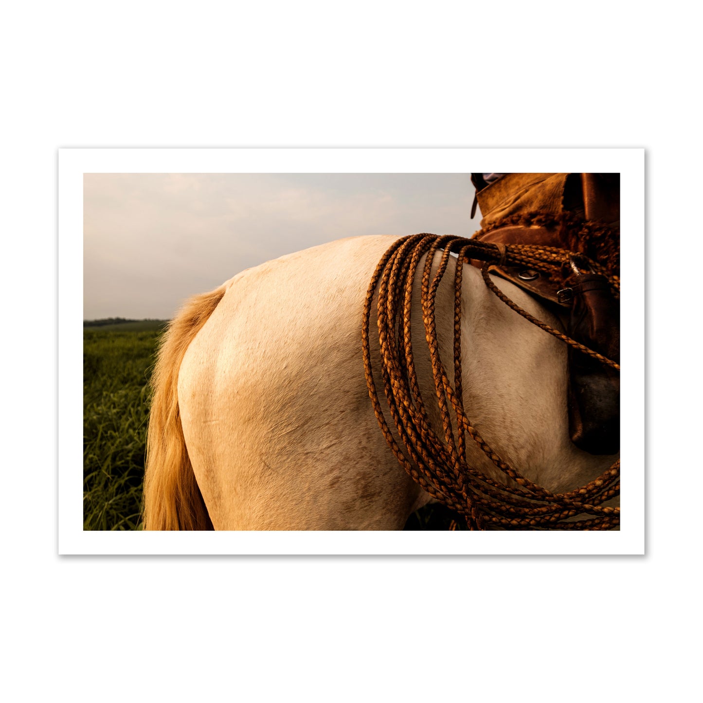 Fine art photo of a cowboy's lasso coiled across a horse's back. Archival pigment print, gallery size, print.