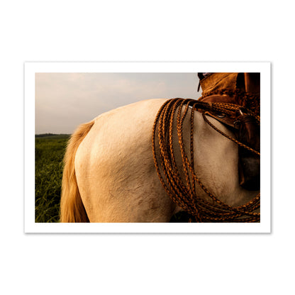 Fine art photo of a cowboy's lasso coiled across a horse's back. Archival pigment print, gallery size, print.