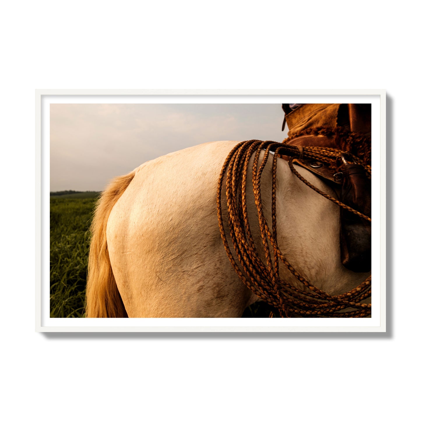 Fine art photo of a cowboy's lasso coiled across a horse's back. Archival pigment print, gallery size, white frame.