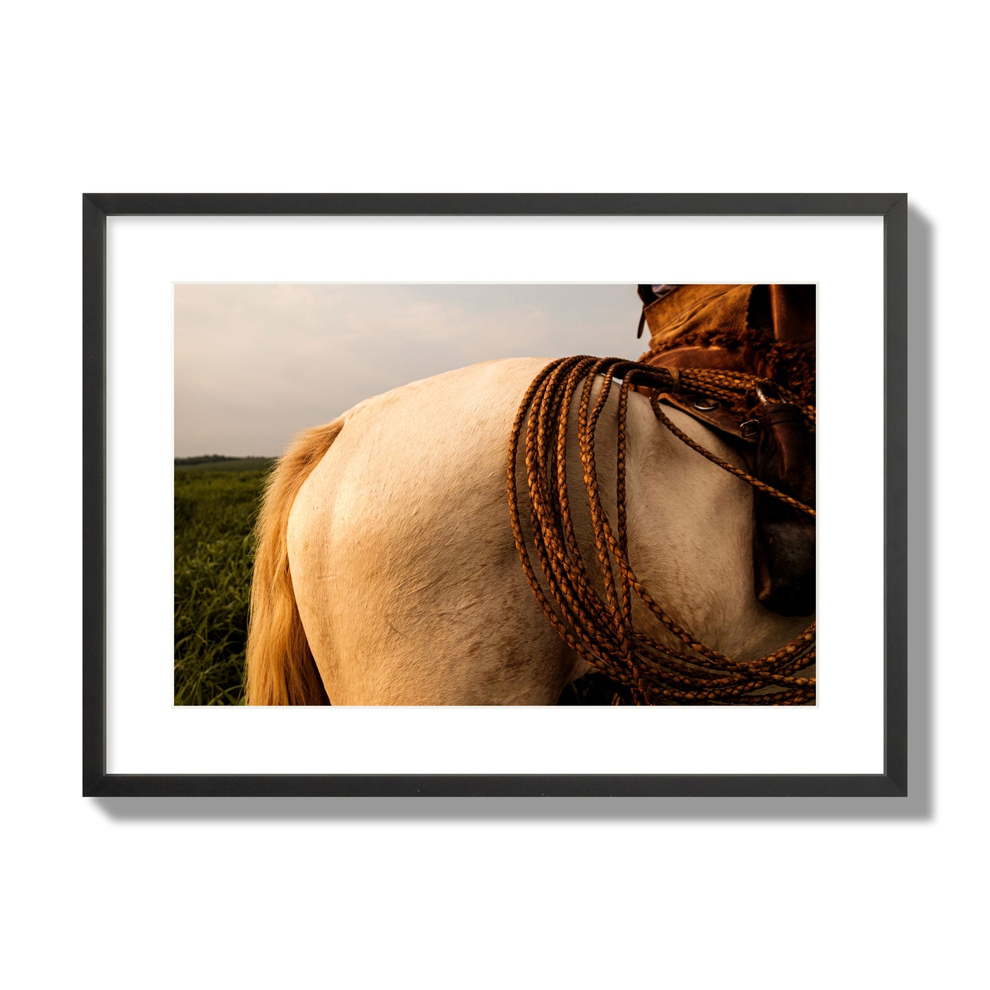 Fine art photo of a cowboy's lasso coiled across a horse's back. Archival pigment print, large size, black frame.