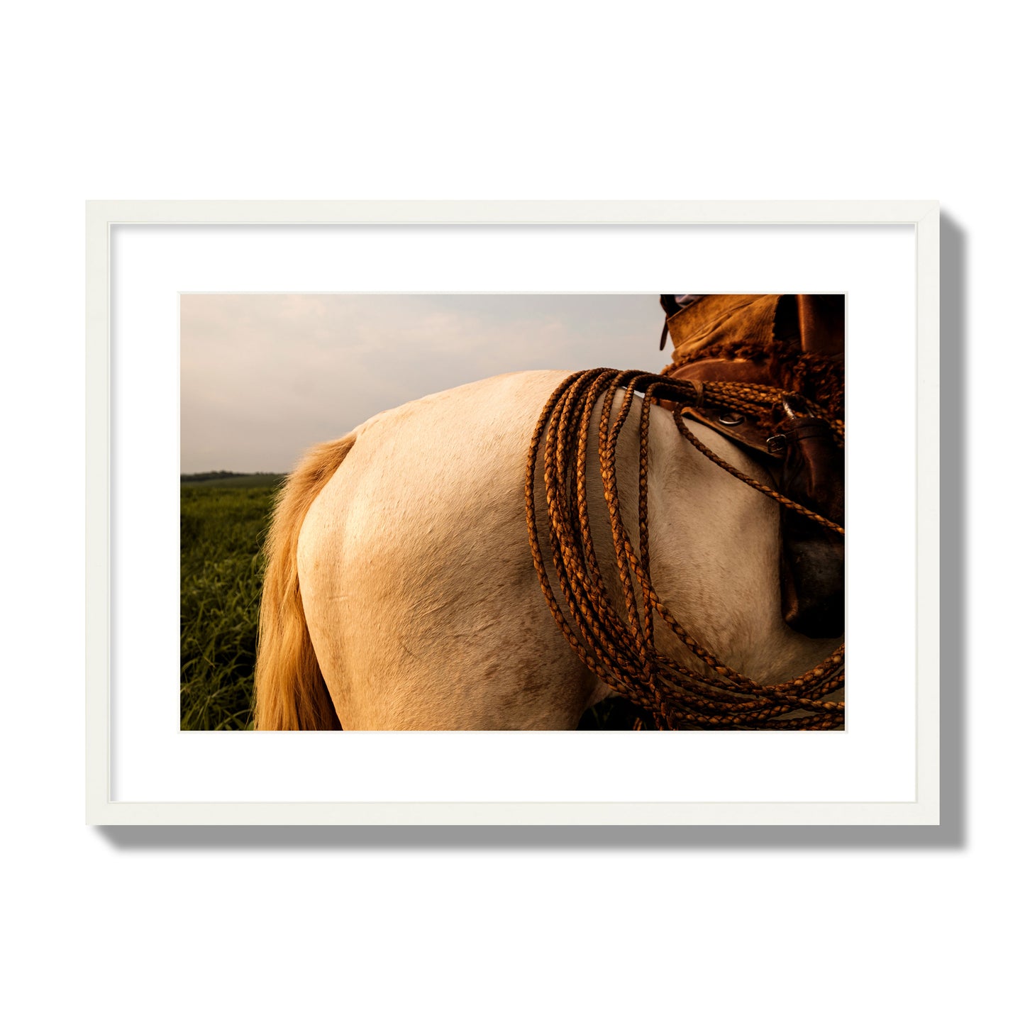 Fine art photo of a cowboy's lasso coiled across a horse's back. Archival pigment print, large size, white frame.